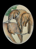 Elephant (recto)